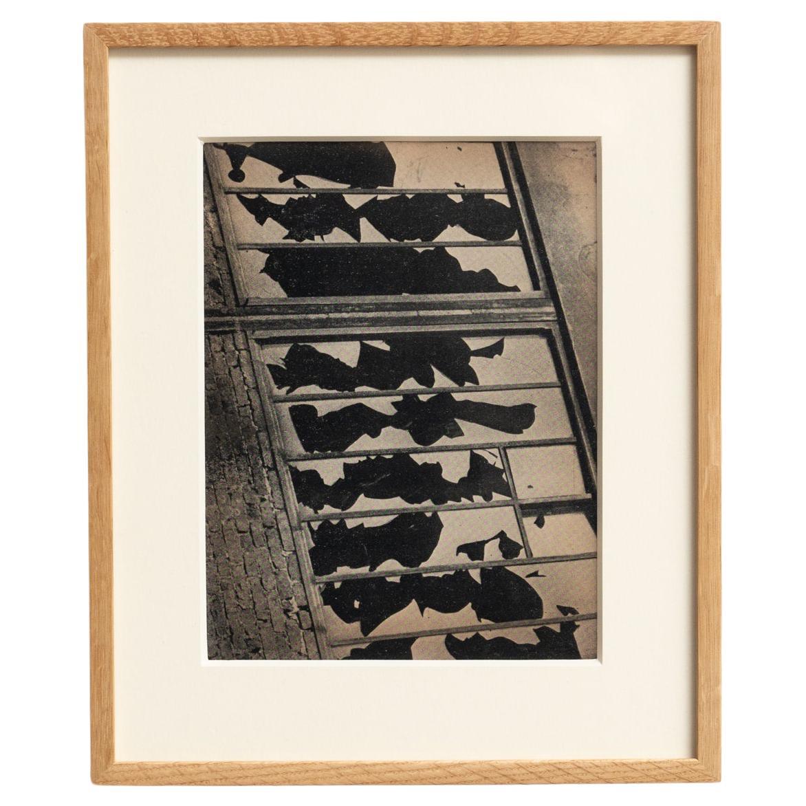 Fotografia eliografica incorniciata di Brassai (1949) - Whiting