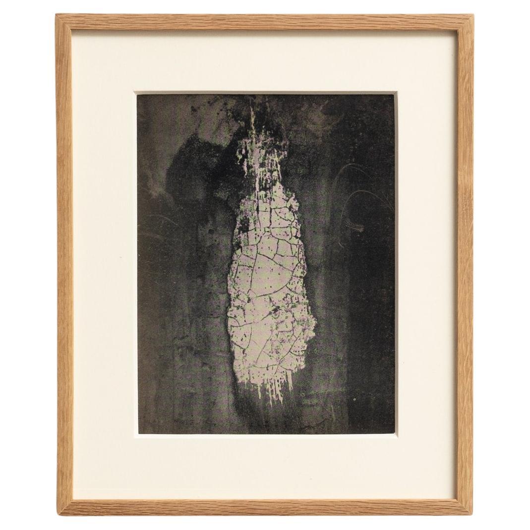 Fotografia eliografica incorniciata di Brassai (1949) - Whiting