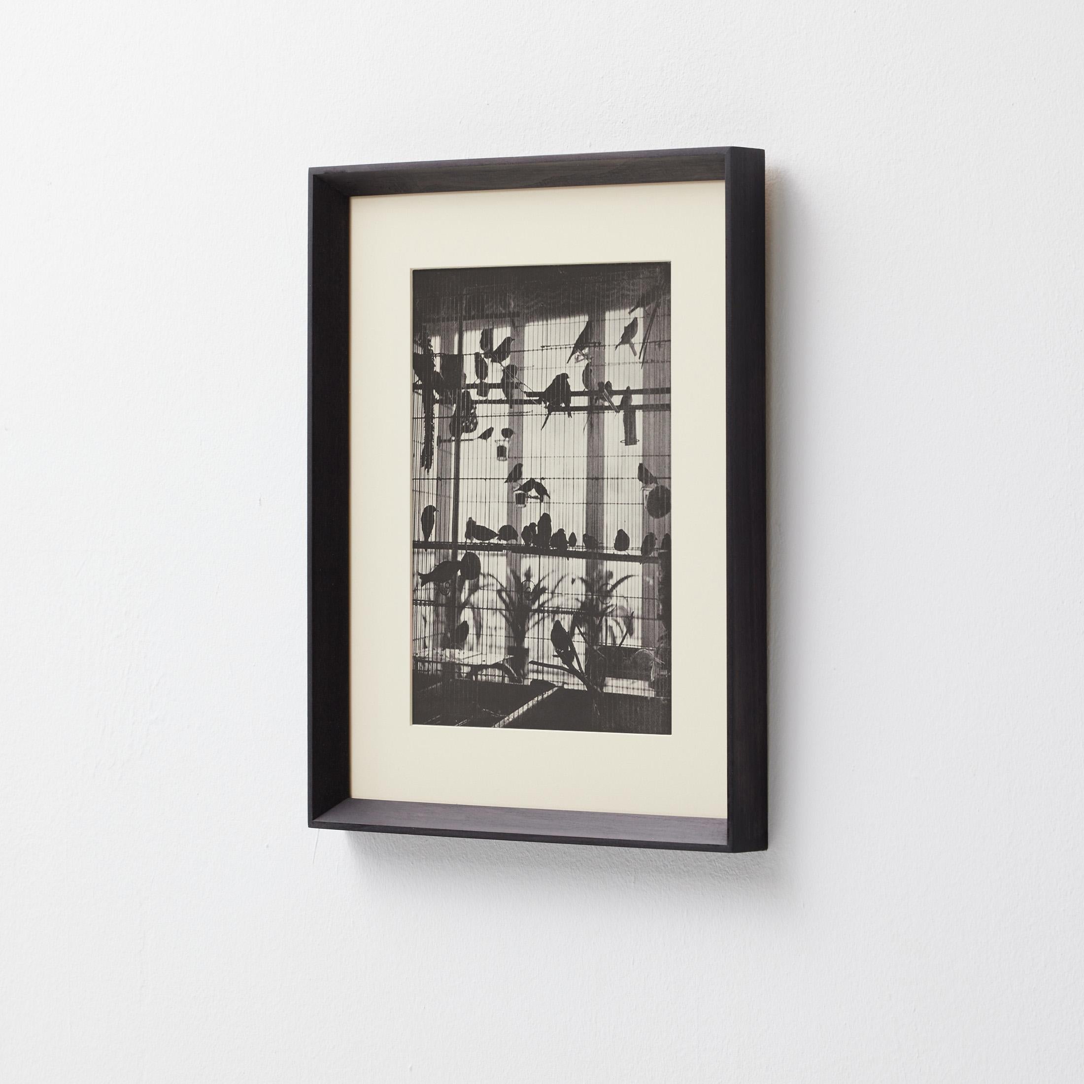 Français Héliogravure Brassaï - La volière d'Henri Matisse, Verve 1937, encadrée en vente
