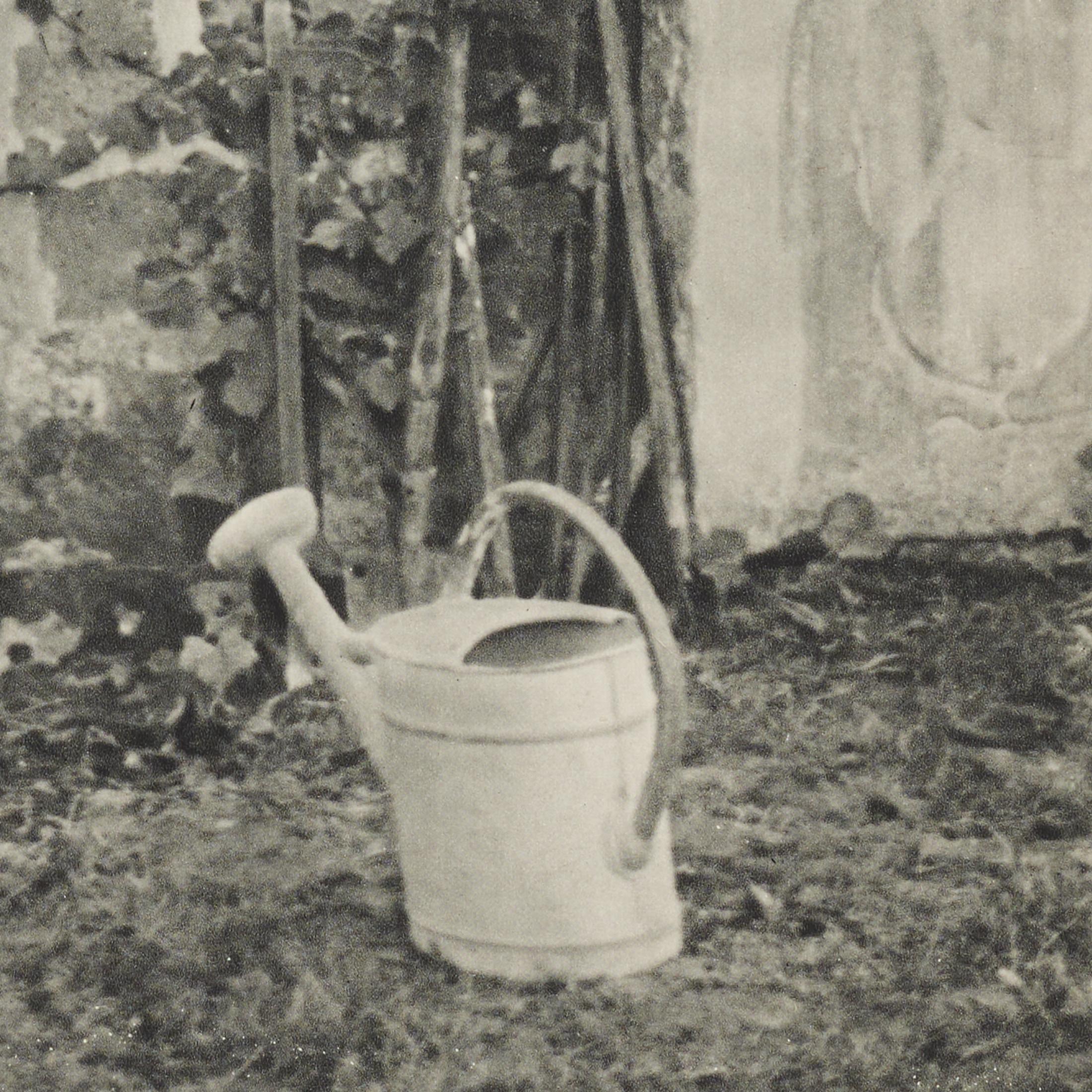 Brassaï Heliogravure — The Artist Garden, Verve 1937, Framed For Sale 4