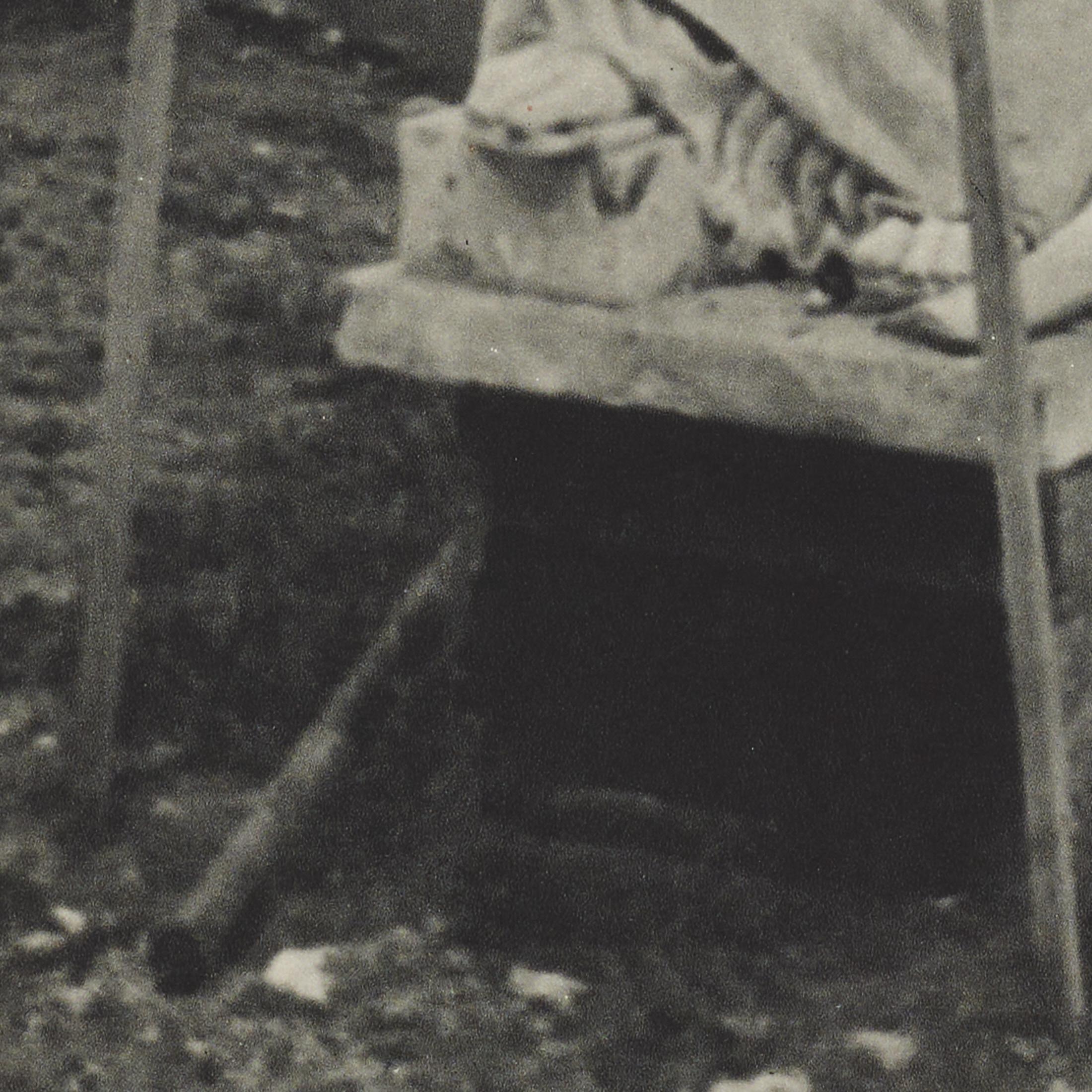 Brassaï Heliogravure — The Artist Garden, Verve 1937, Framed For Sale 4