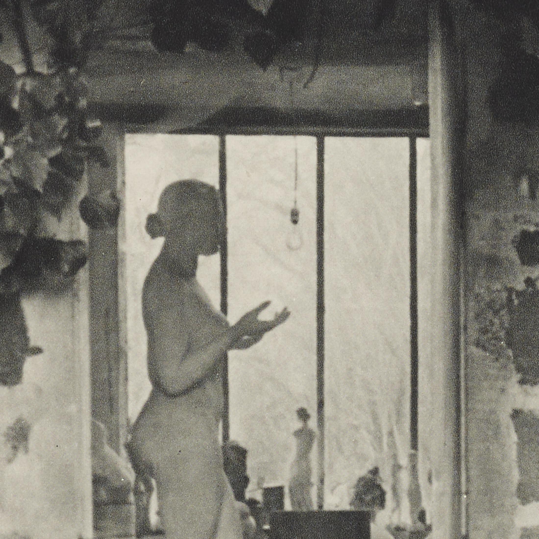 Brassaï Heliogravure — The Artist Garden, Verve 1937, Framed For Sale 5