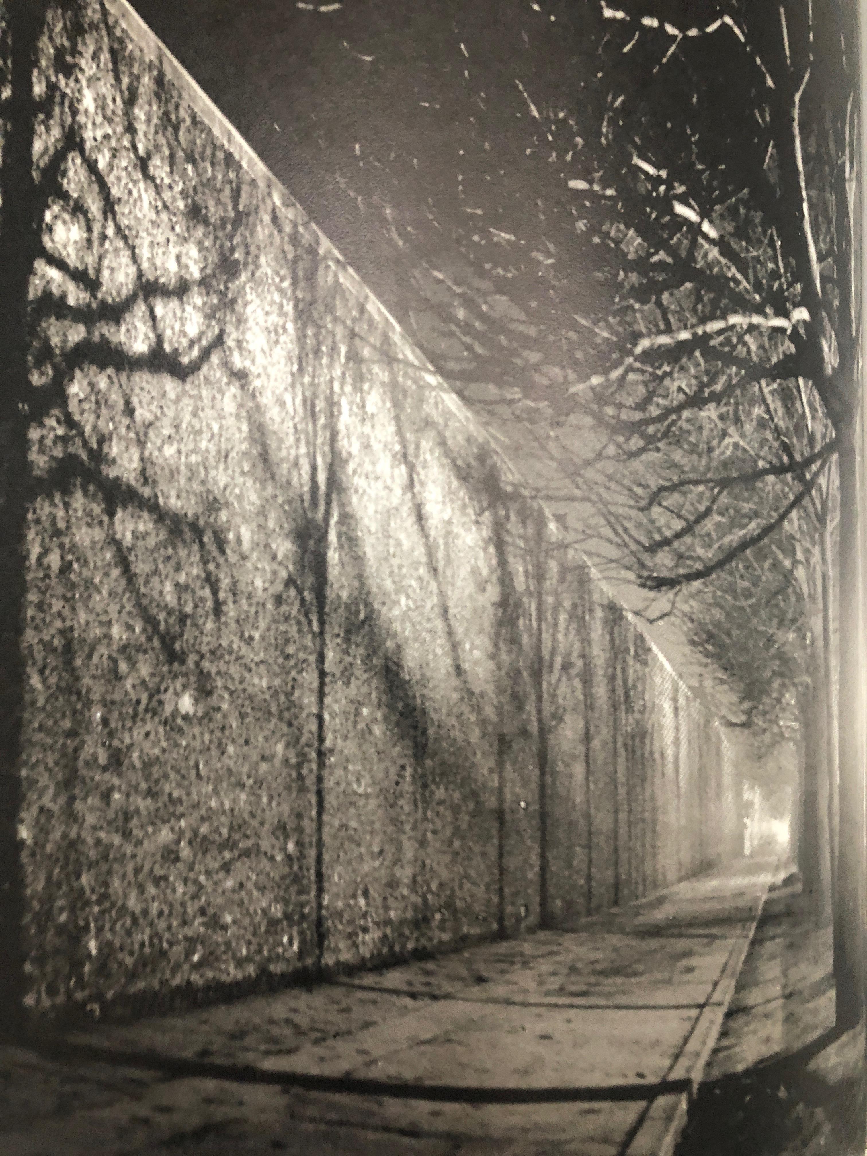 Brassai, the Secret Paris of the 1930s, Signed In Good Condition For Sale In London, GB