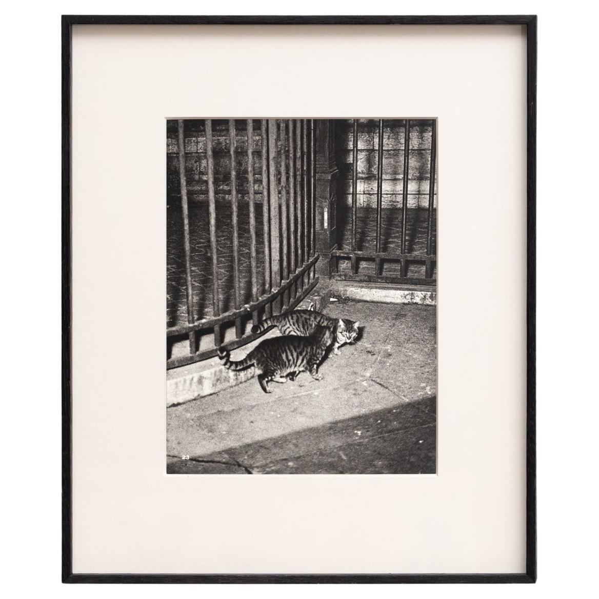 Brassai Urban Rare Black And White Framed Heliogravure, circa 1930 For Sale