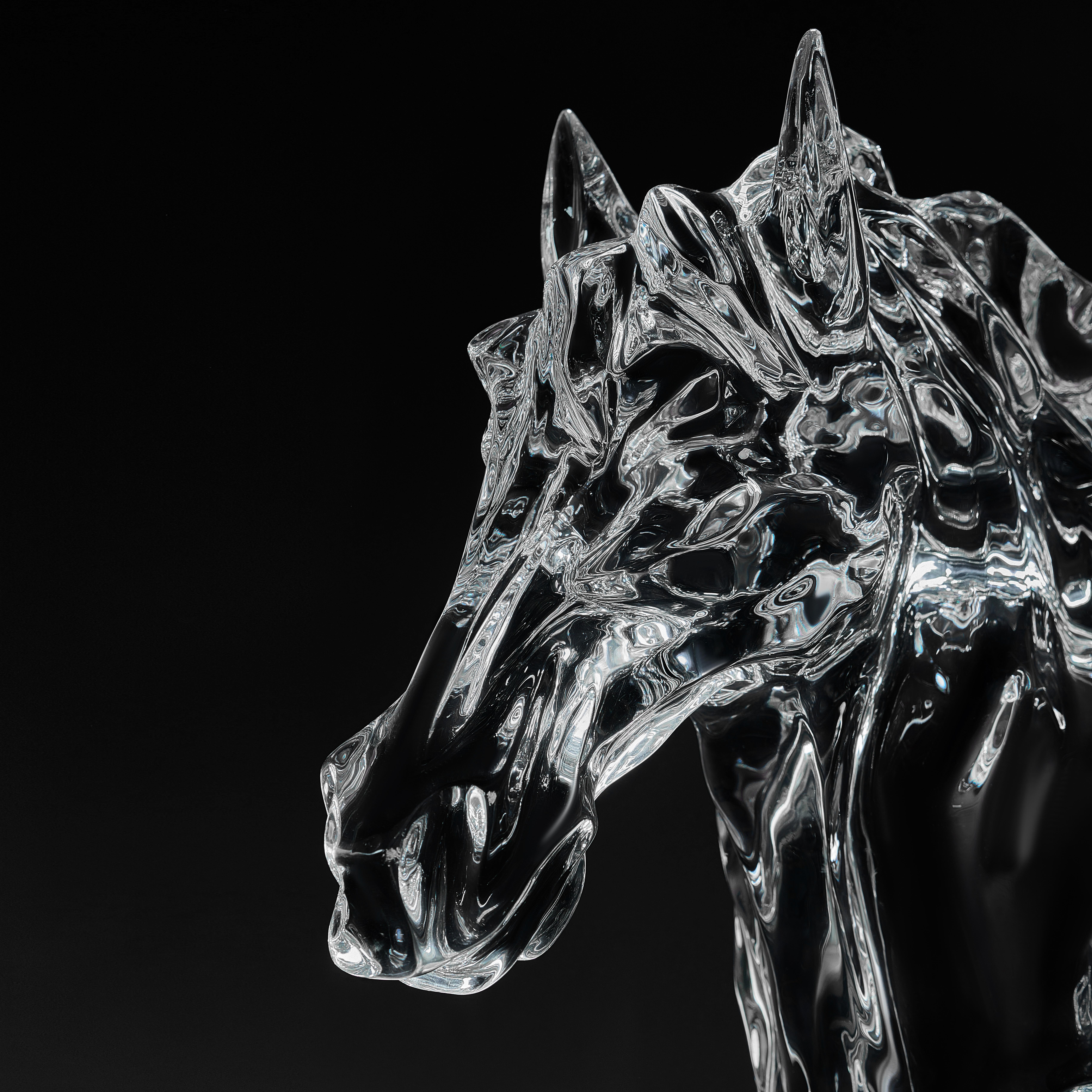 Bronco valiente por GORDON GU en venta 1
