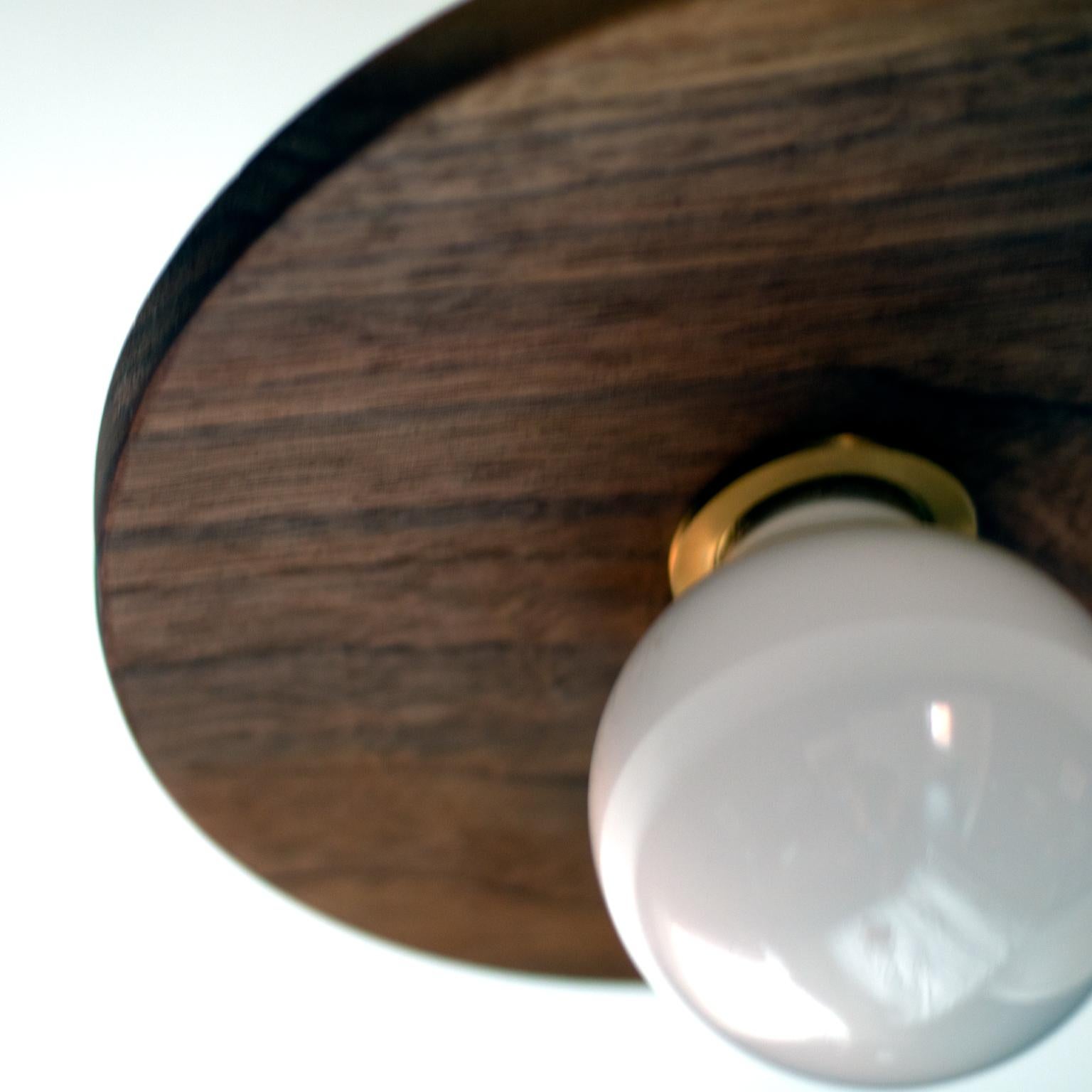 Polished Brayden Circle Walnut and Brass Pendant Light For Sale