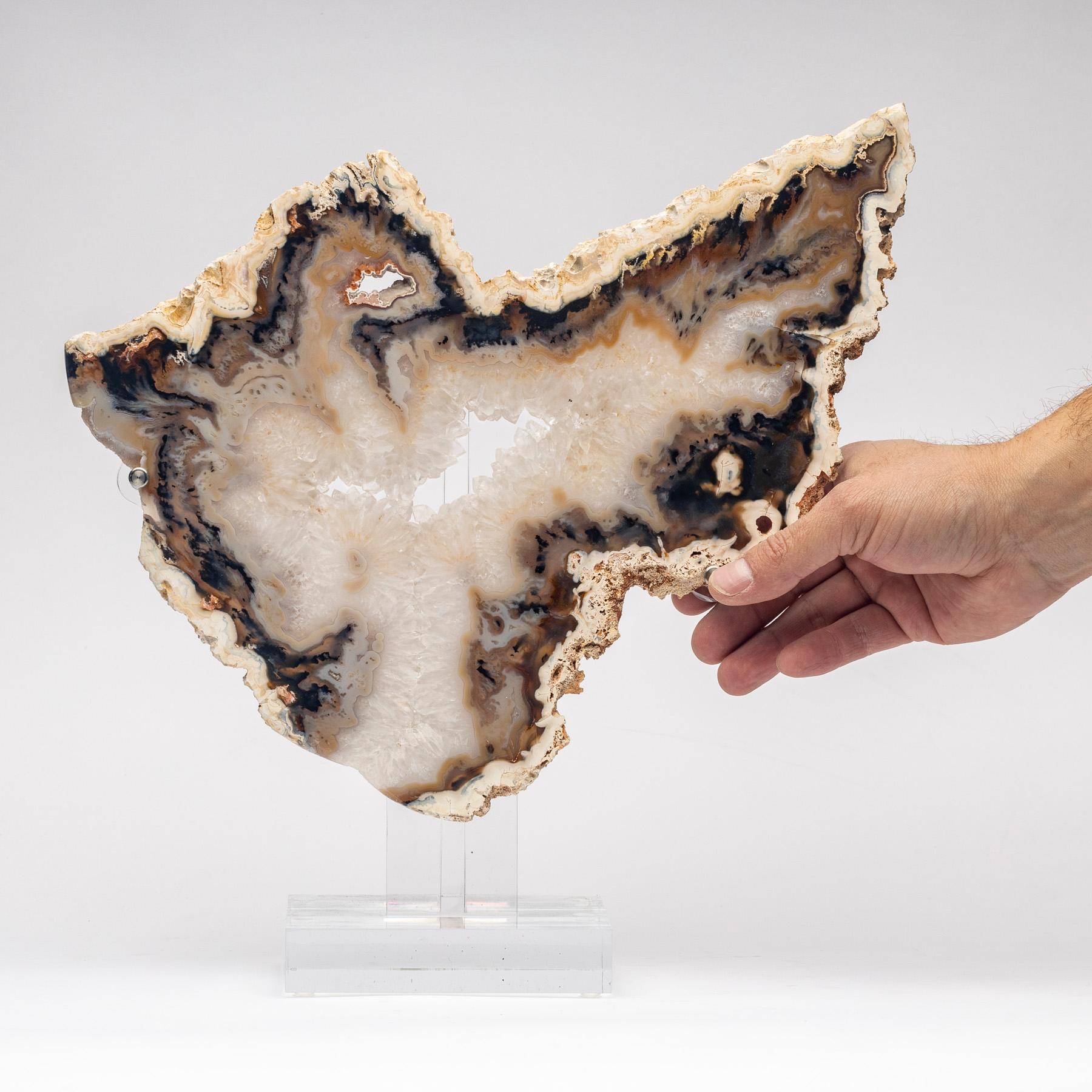 Brazilian Banded Agate Slab with Crystallizations on a Custom Acrylic Stand 3