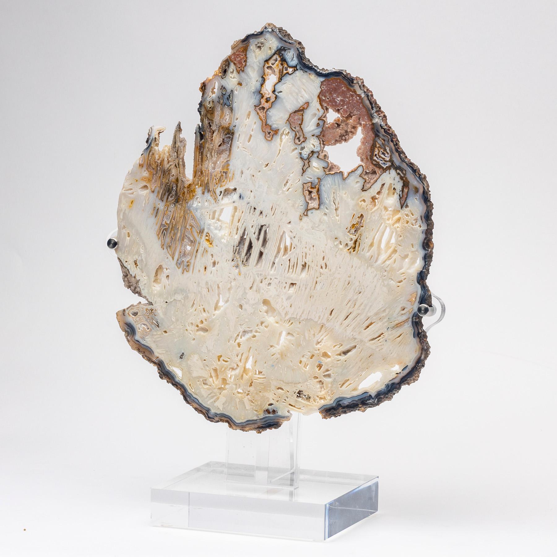 Organic Modern Brazilian Banded Agate Slab with Crystallizations on a Custom Acrylic Stand For Sale