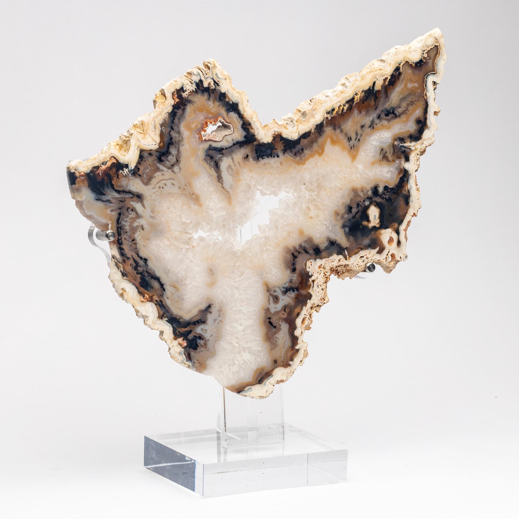 Mexican Brazilian Banded Agate Slab with Crystallizations on a Custom Acrylic Stand