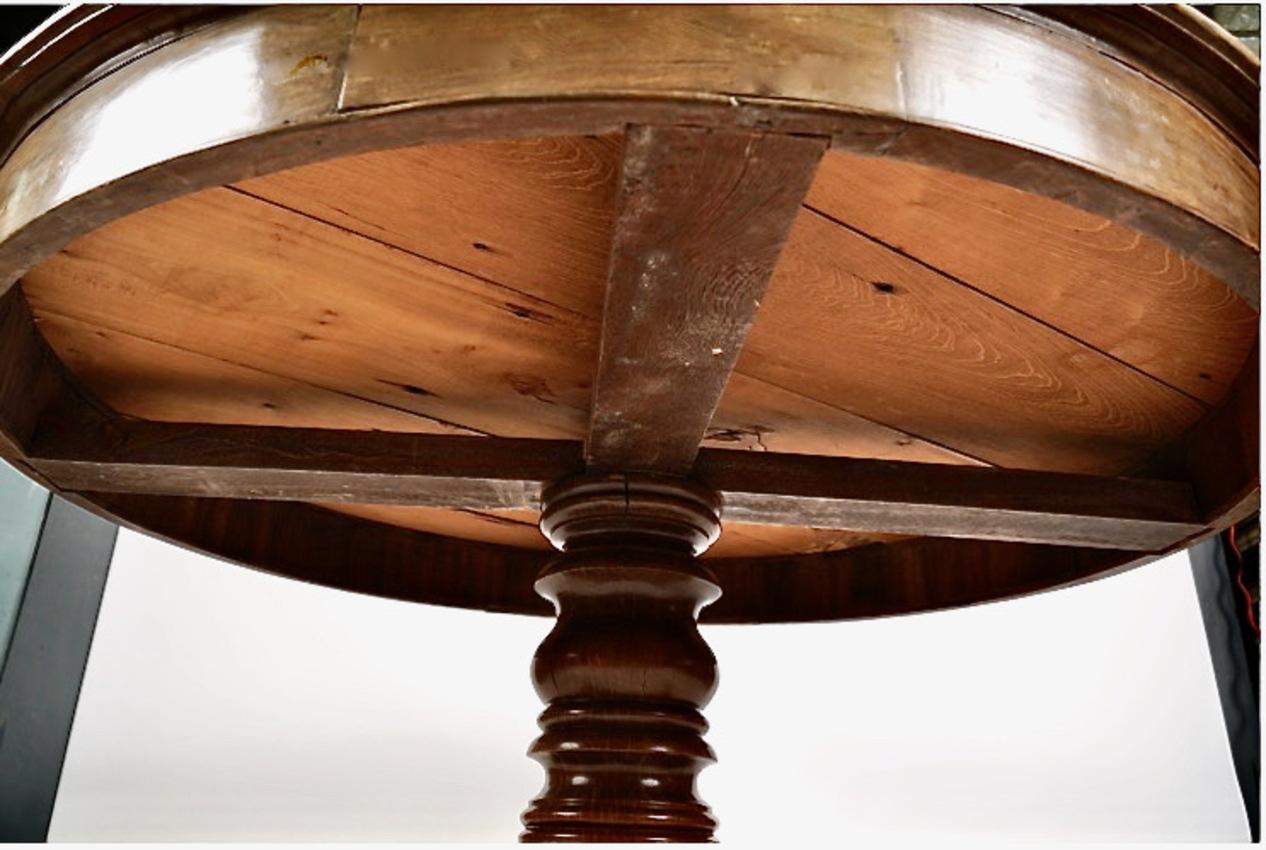 Brazilian Center or Dining Table, 19th Century For Sale 6