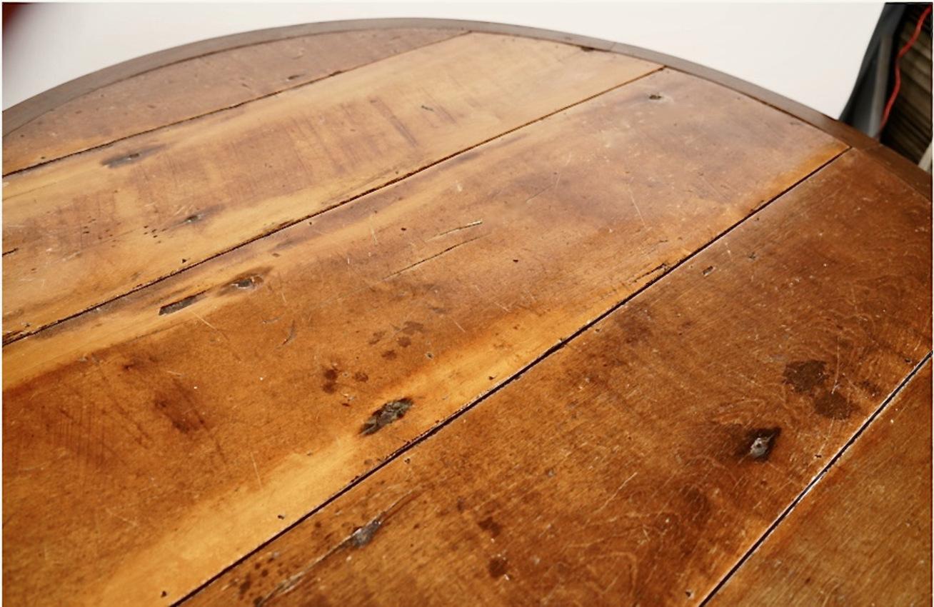 Brazilian Center or Dining Table, 19th Century For Sale 2