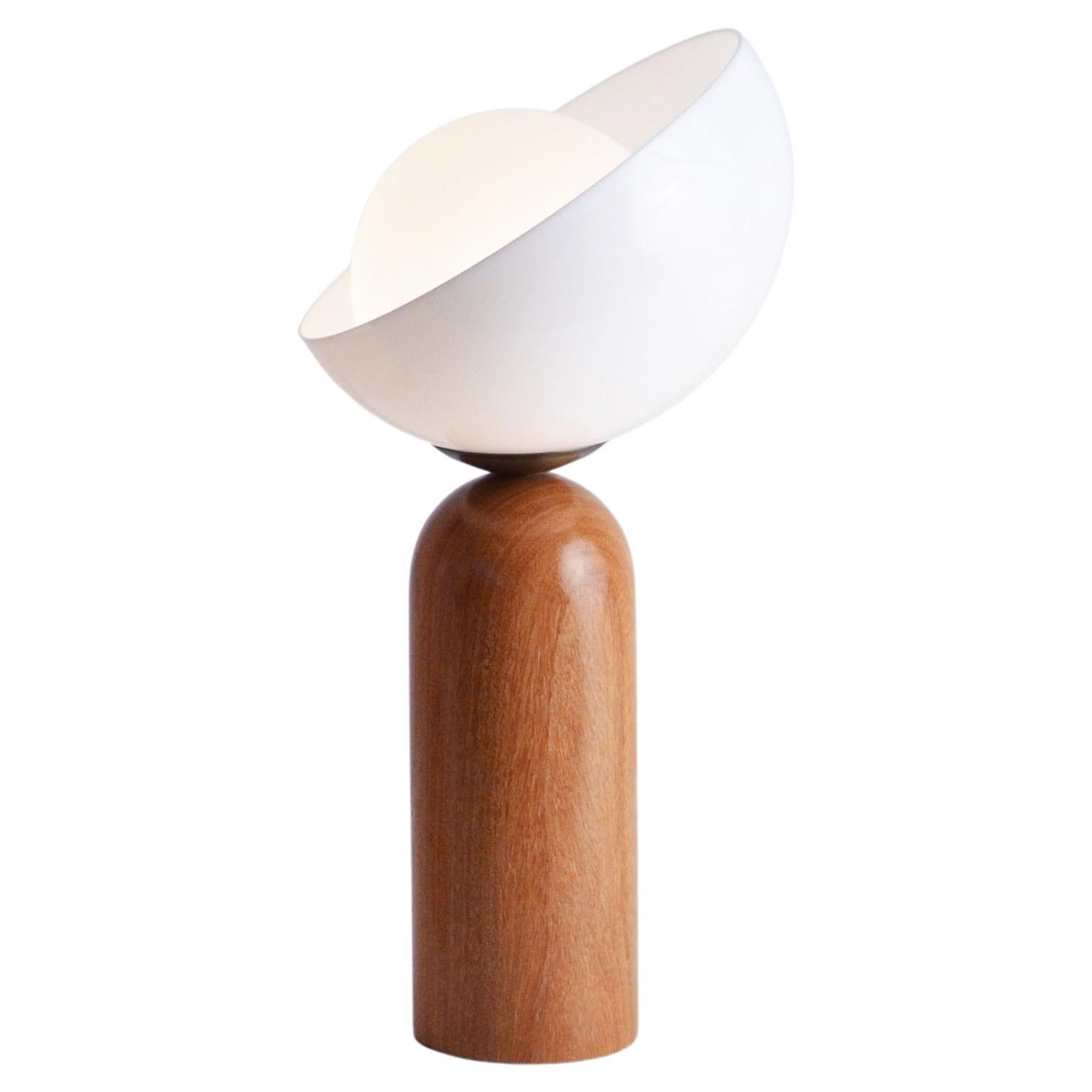 Brazilian contemporary acrylic and wood table lamp - medium For Sale