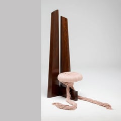 Brazilian Contemporary Furniture Jacaranda Chair by studio Vasconcellos Barreto