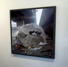 Fotografía Contemporánea "Casulo" de Felipe Varanda, Edición Limitada