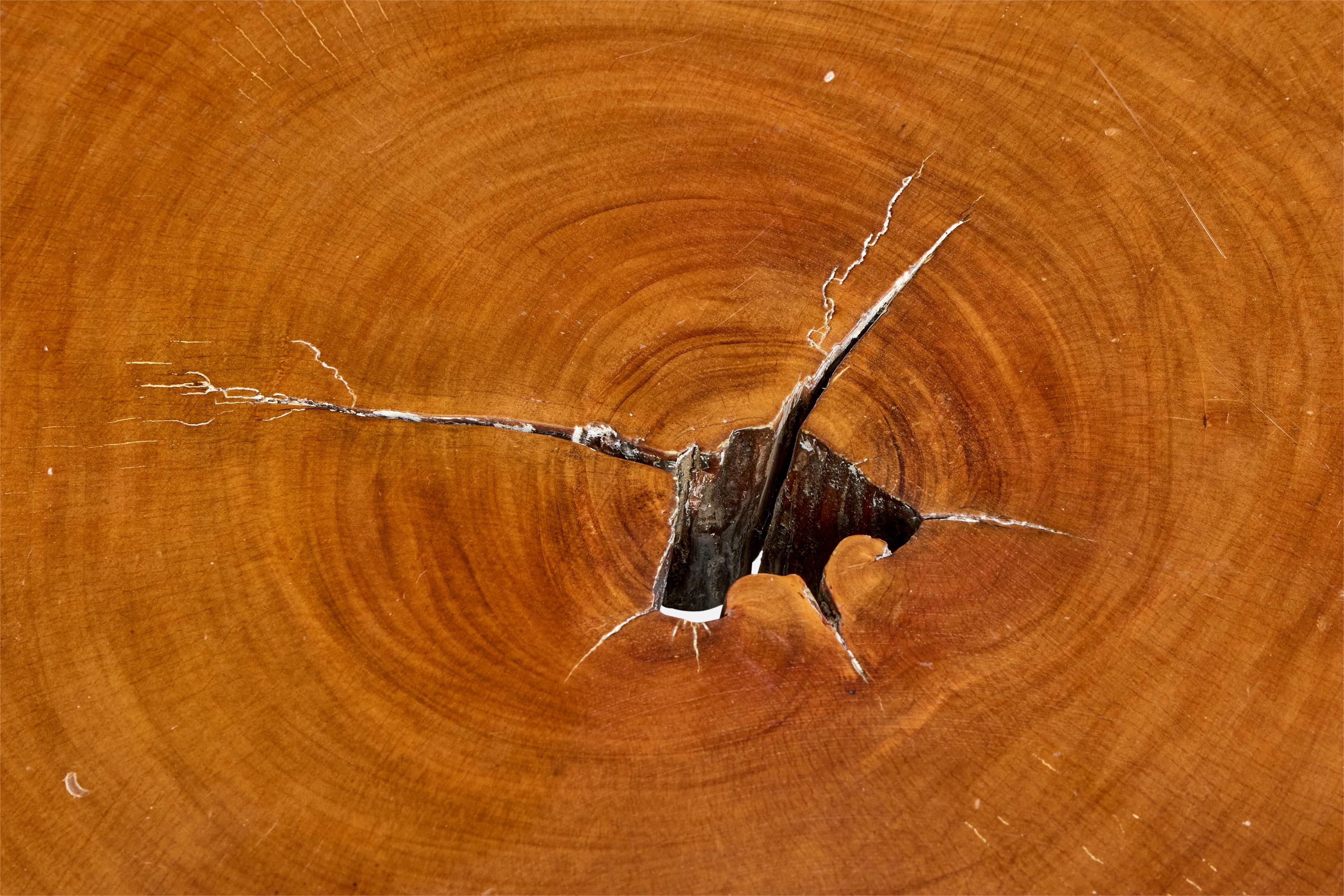 Brazilian Designer, Coffee Table, Wood, Iron, Brazil, 1960s For Sale 4