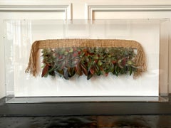 Ex-Museum-Stück aus brasilianischem Federkopfschmuck des Guajajara-Stammes