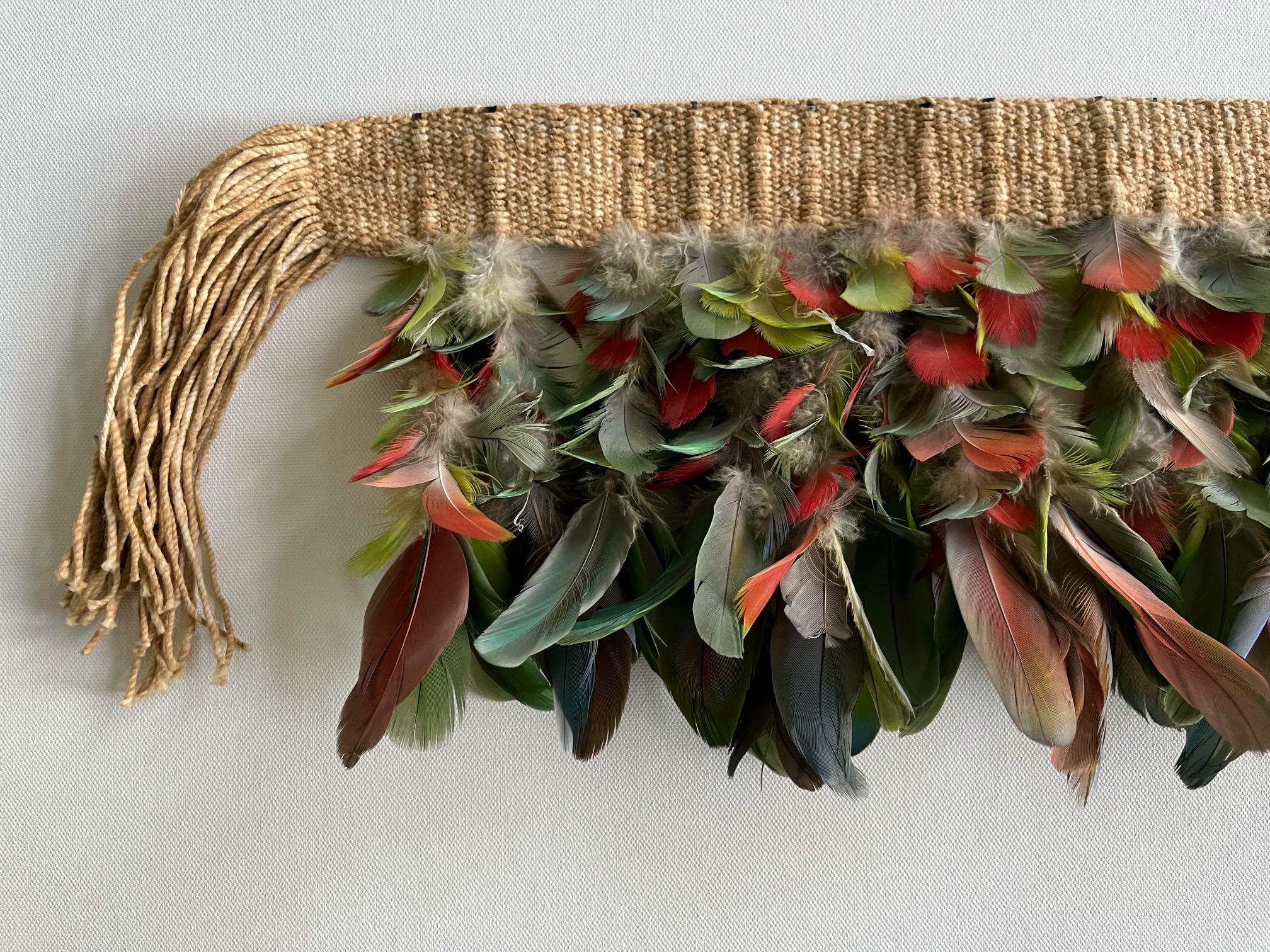 Hand-Woven Brazilian Feather Headdress Guajajara Tribe Ex-Museum Piece