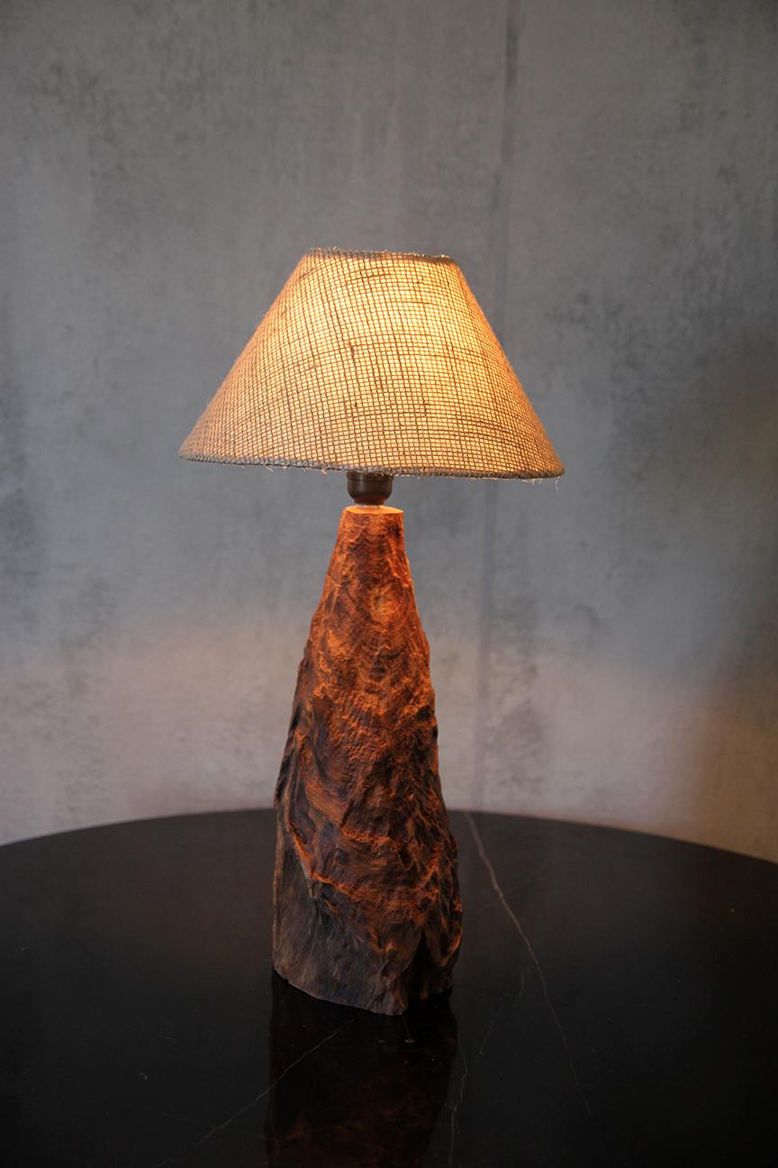 Brazilian Freeform Wood Table Lamp, Sculptural Design For Sale 8