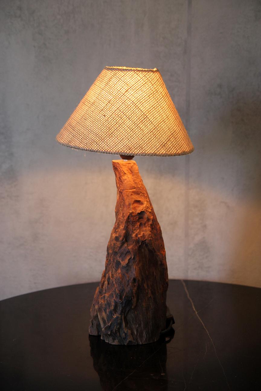 Brazilian Freeform Wood Table Lamp, Sculptural Design For Sale 9