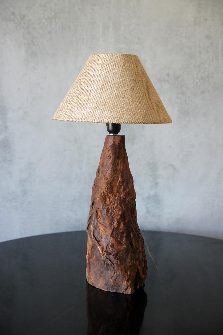 An extraordinary tree trunk lamp, meticulously handcrafted from stunning Brazilian wood showcases nature's artistry. This enchanting lamp features a flawlessly sanded finish that accentuates the rich, natural grains and textures of the wood,