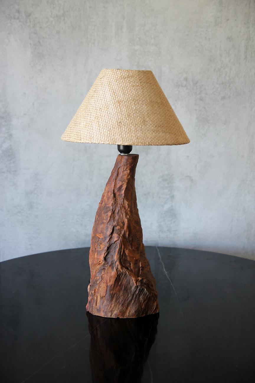 Organic Modern Brazilian Freeform Wood Table Lamp, Sculptural Design For Sale