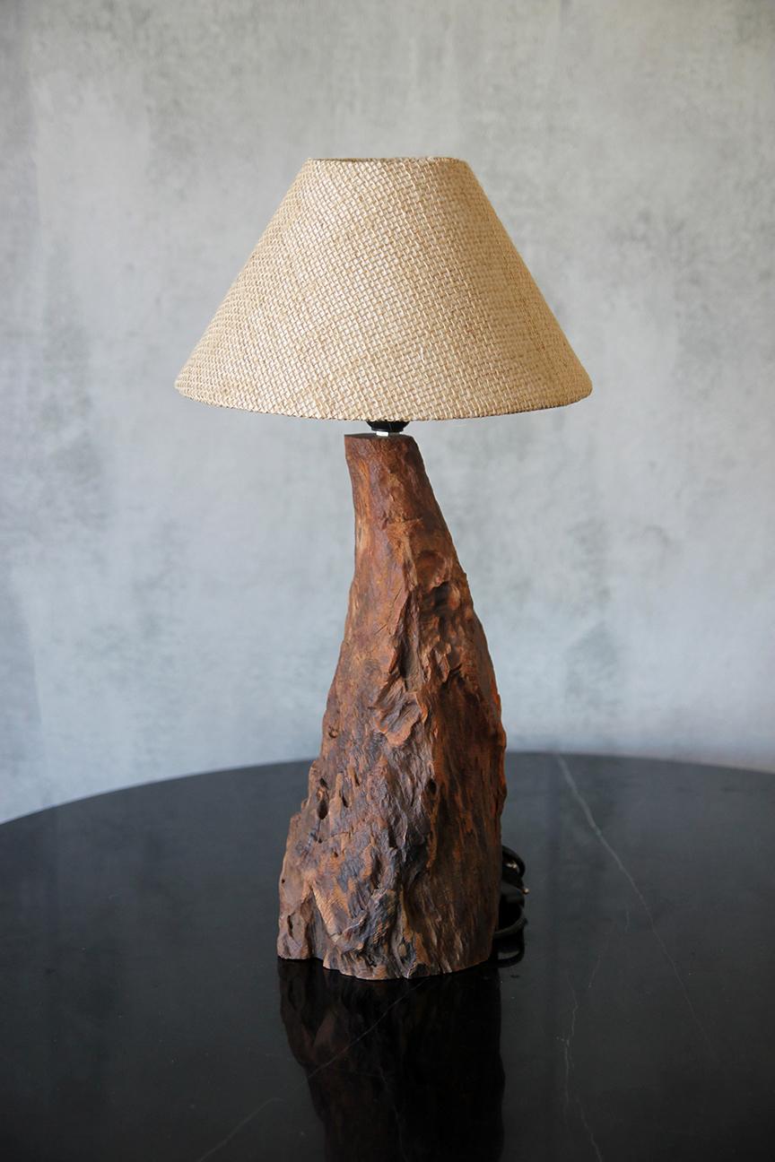 Brazilian Freeform Wood Table Lamp, Sculptural Design In Good Condition For Sale In Los Angeles, CA