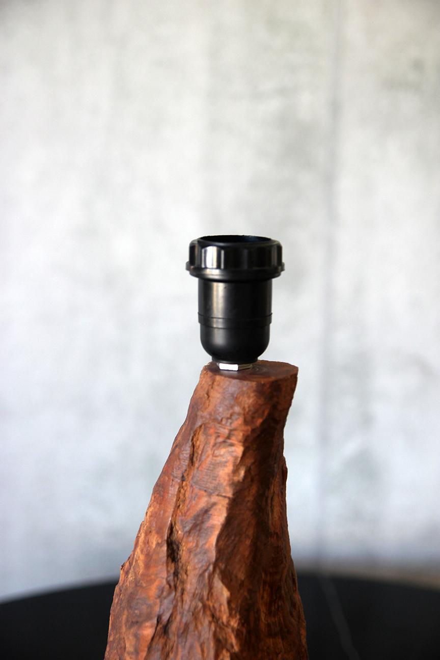 Brazilian Freeform Wood Table Lamp, Sculptural Design For Sale 1