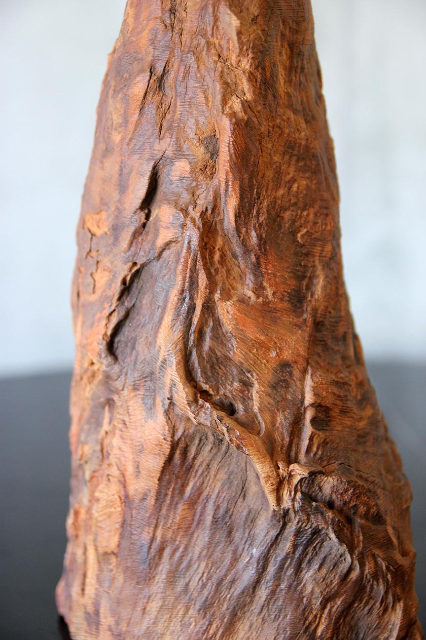 Brazilian Freeform Wood Table Lamp, Sculptural Design For Sale 2