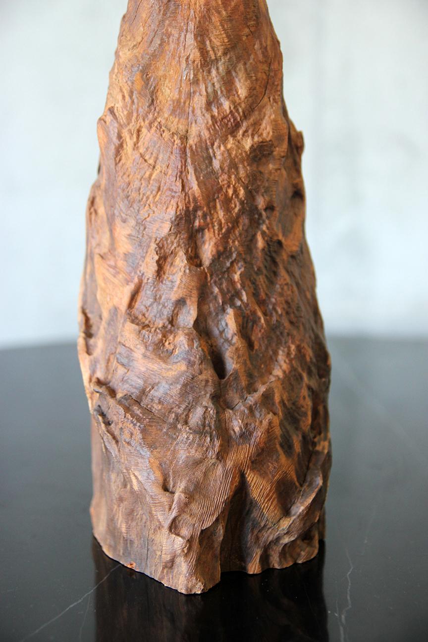 Brazilian Freeform Wood Table Lamp, Sculptural Design For Sale 3