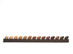 Brazilian Hardwood Decorative Xylotheque