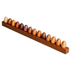 Brazilian Hardwood Decorative Xylotheque