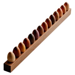 Brazilian Hardwood Decorative Xylotheque