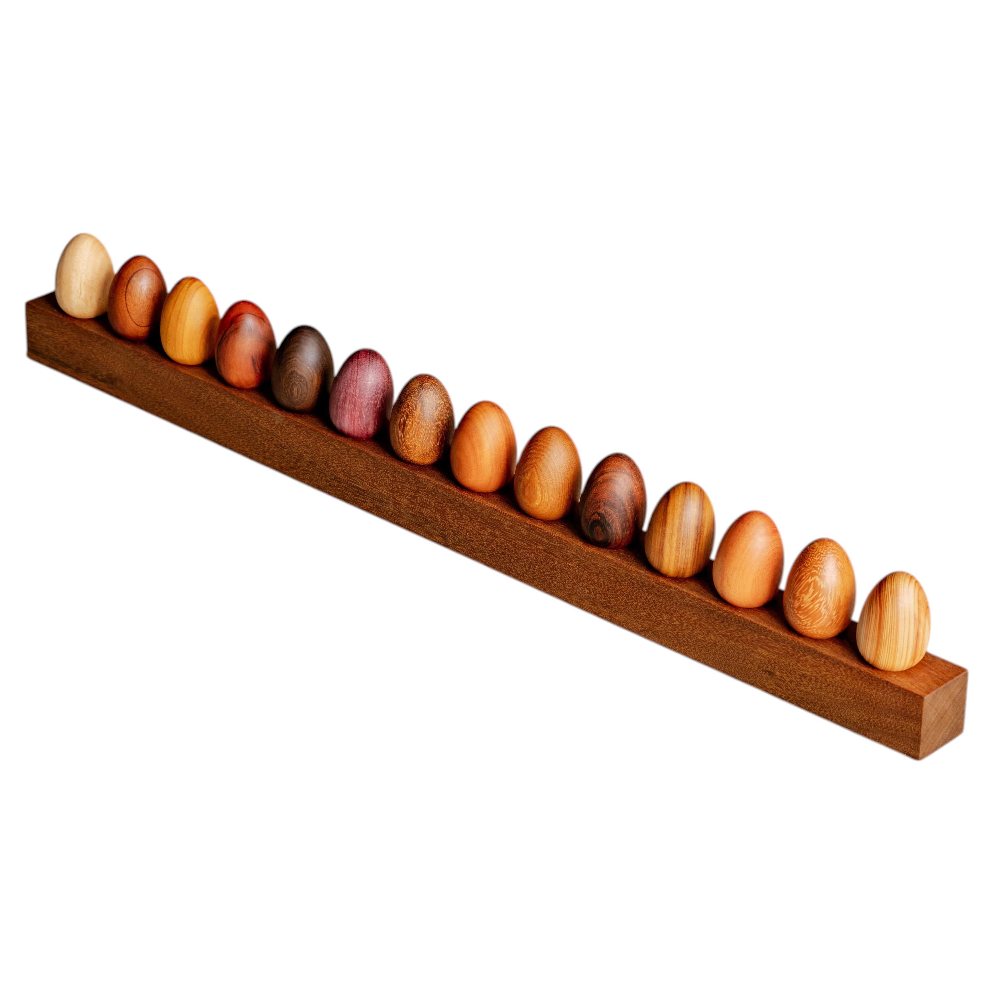 Handgefertigte Xylothek aus brasilianischem Hartholz von Maria Eduarda de Carvalho im Angebot