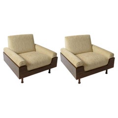 Brazilian Jacaranda Lounge Chairs