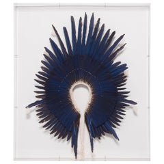 Brazilian Kayapo Blue Feather Headdress