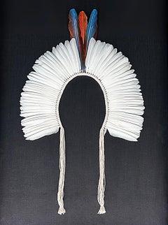 Copricapo di piume indigeno della tribù brasiliana dei Kayapó "Cocar" dall'Amazzonia