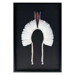 Coiffe en plumes indigène "Cocar" de la tribu brésilienne des Kayapó, en Amazonie