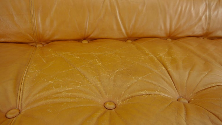 Brazilian Lounge Sofa in Teak, Cognac Leather, 1970s For Sale 15