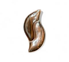 Brazilian Mid-Century Modern Serving Platter in Brazilian Hardwood