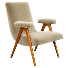 Sillón moderno brasileño de mohair en color salvia-grisáceo y madera maciza, Brasil, década de 1950