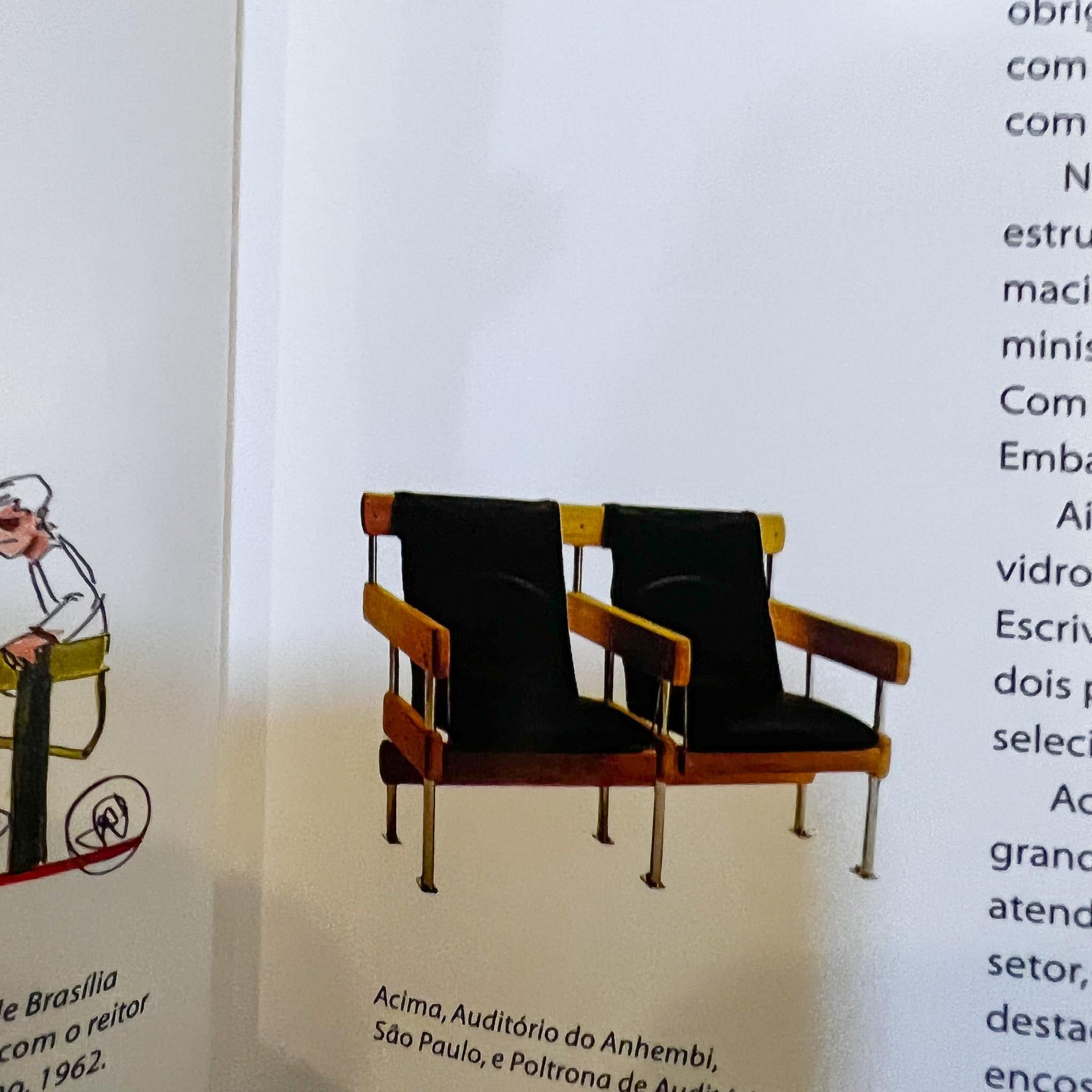 Brazilian Modern 