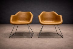 Pareja de sillones modernos brasileños "Hillie", Robin Day para L'Atelier, años 60