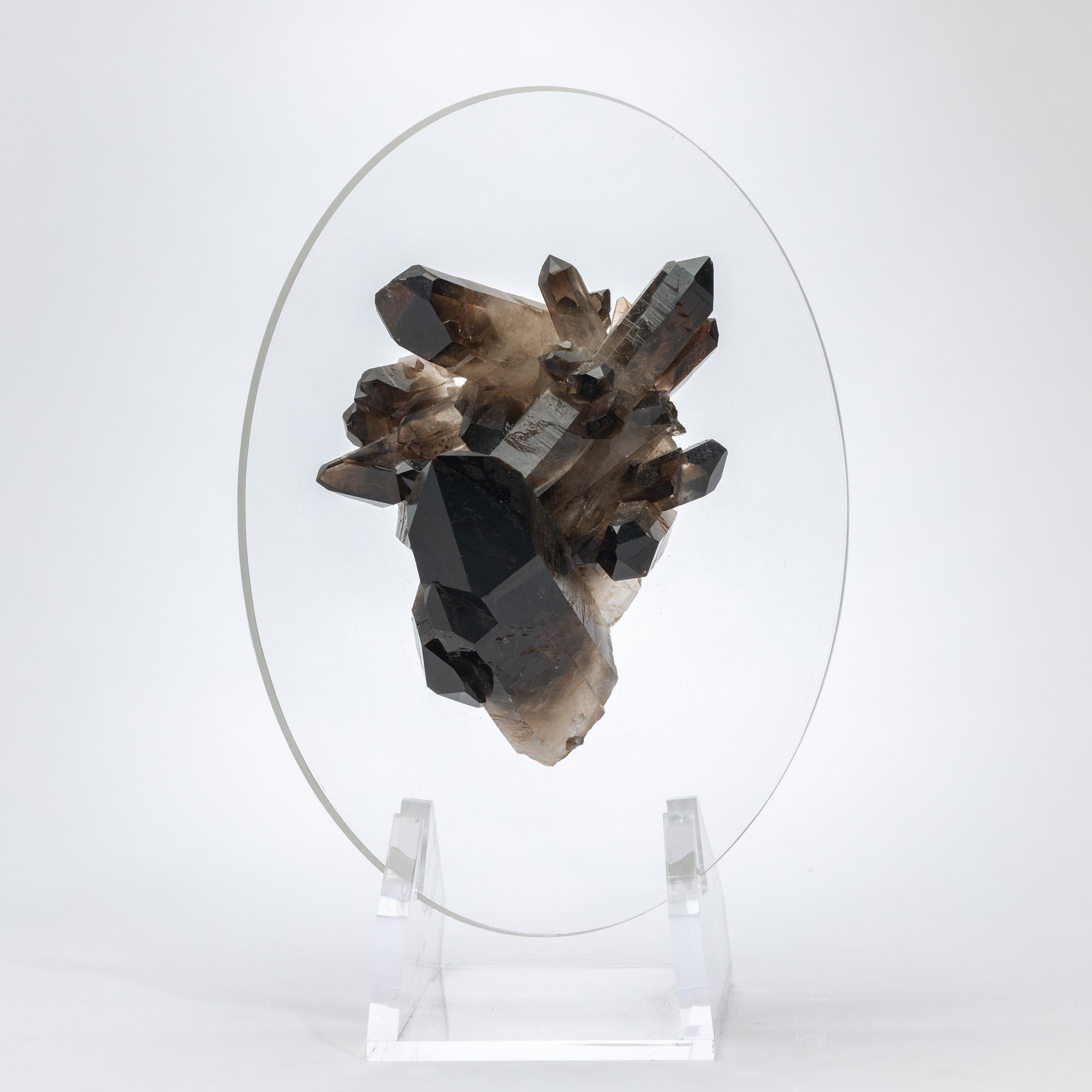 Smoky Quartz Cluster on Floating Acrylic Base
Minas Gerais, Brazil

This sculptural smoky quartz cluster originates from Minas Gerais, Brazil, a region world-renowned for producing quartz of exceptional clarity and character. Composed of multiple