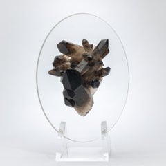 Brazilian Smokey Quartz Cluster Mounted in a original desing Acrylic Base