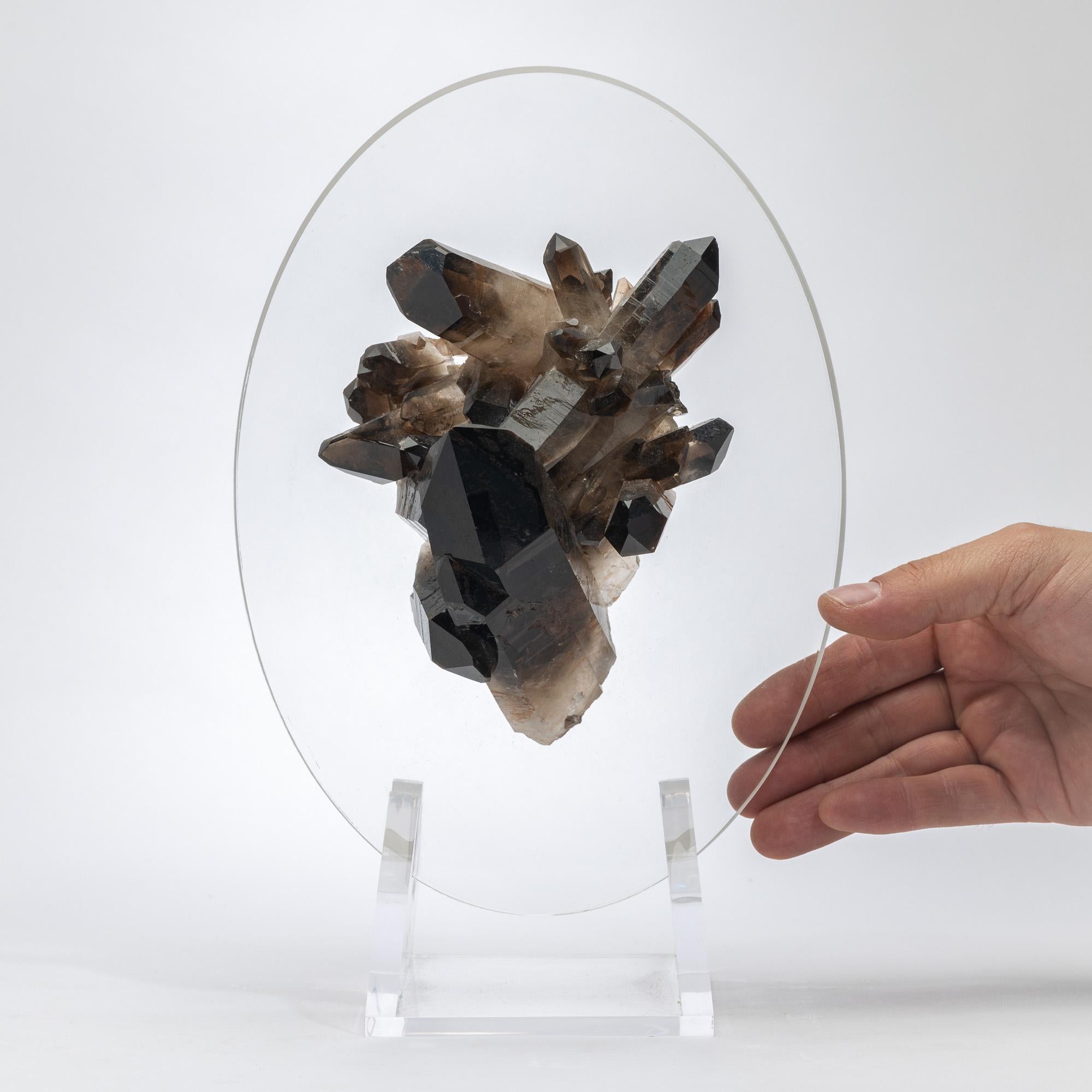 Brazilian Smokey Quartz Cluster Mounted in a original desing Acrylic Base For Sale 2