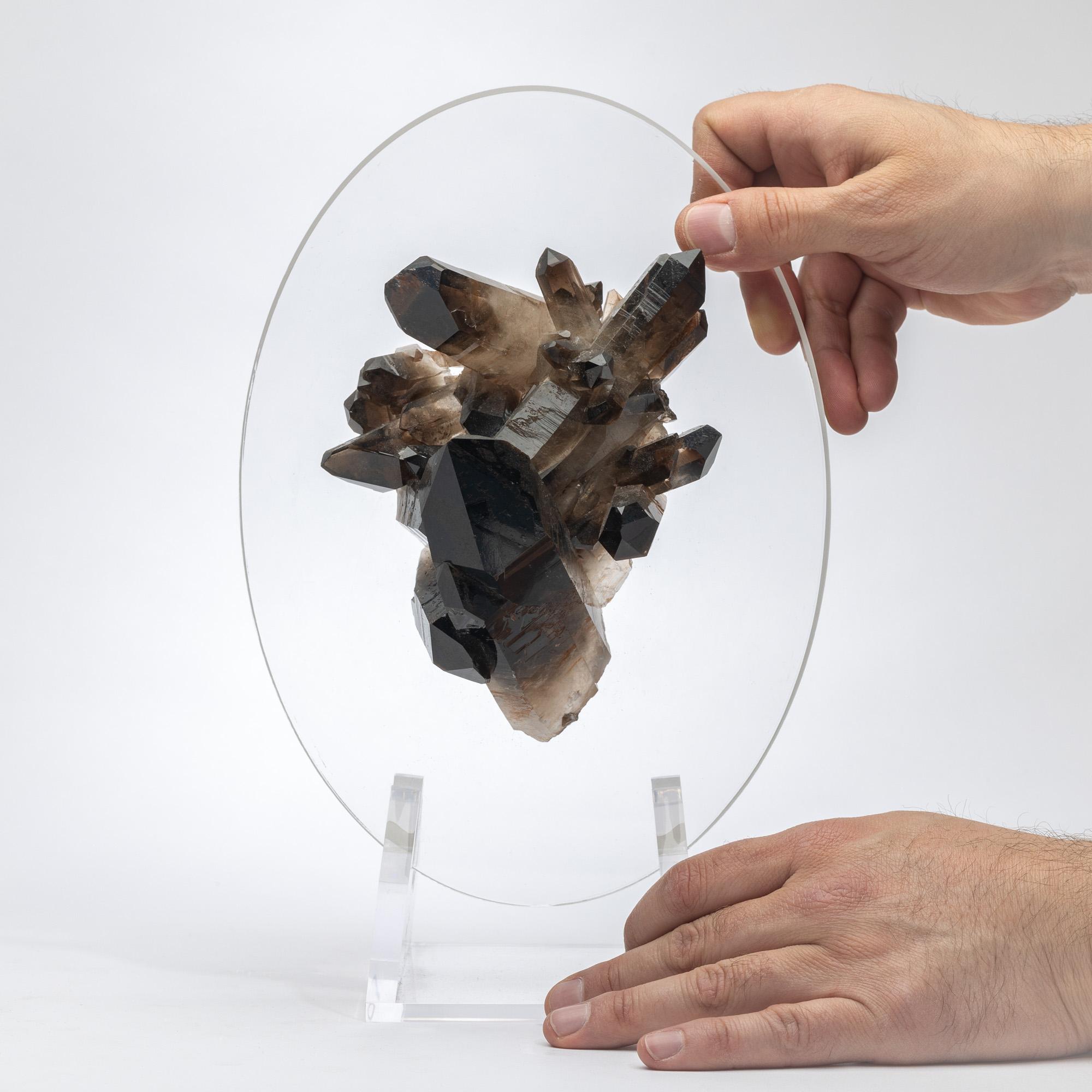 Brazilian Smokey Quartz Cluster Mounted in a original desing Acrylic Base For Sale 3