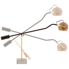 Brazilian Wood, Adjustable Desk Lamp, brass details, Mid Century Modern Style