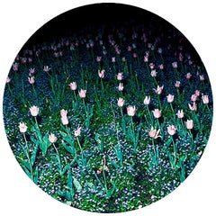 Bread Porcelain Plate Collection Rue de Paradis Model " Tulips"