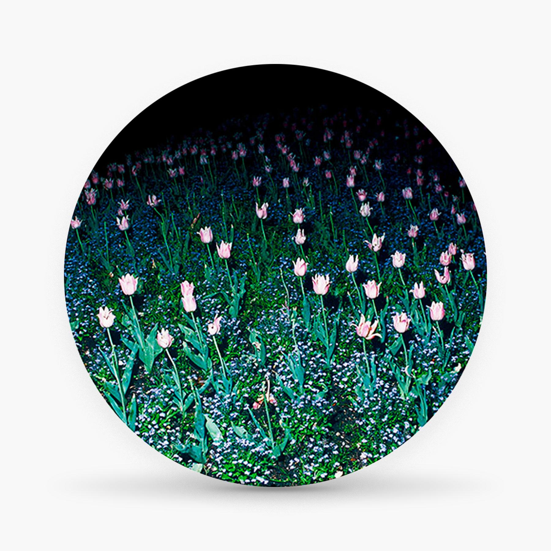 Charles Petit is an urban poet photographer. Here a square flashed at night Rue de Paradis in the years 70. An electric way to see the garden at night.

Porcelain of Limoges extra fine.
Colors serigraphy.
Diameter: 16 cm 
Height: 1.4 cm
Weight: