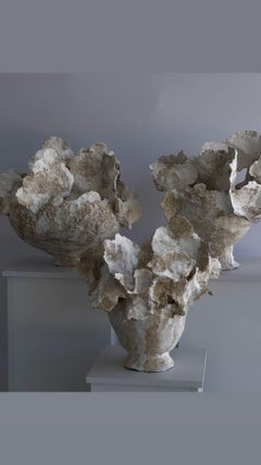 Il respiro della terra